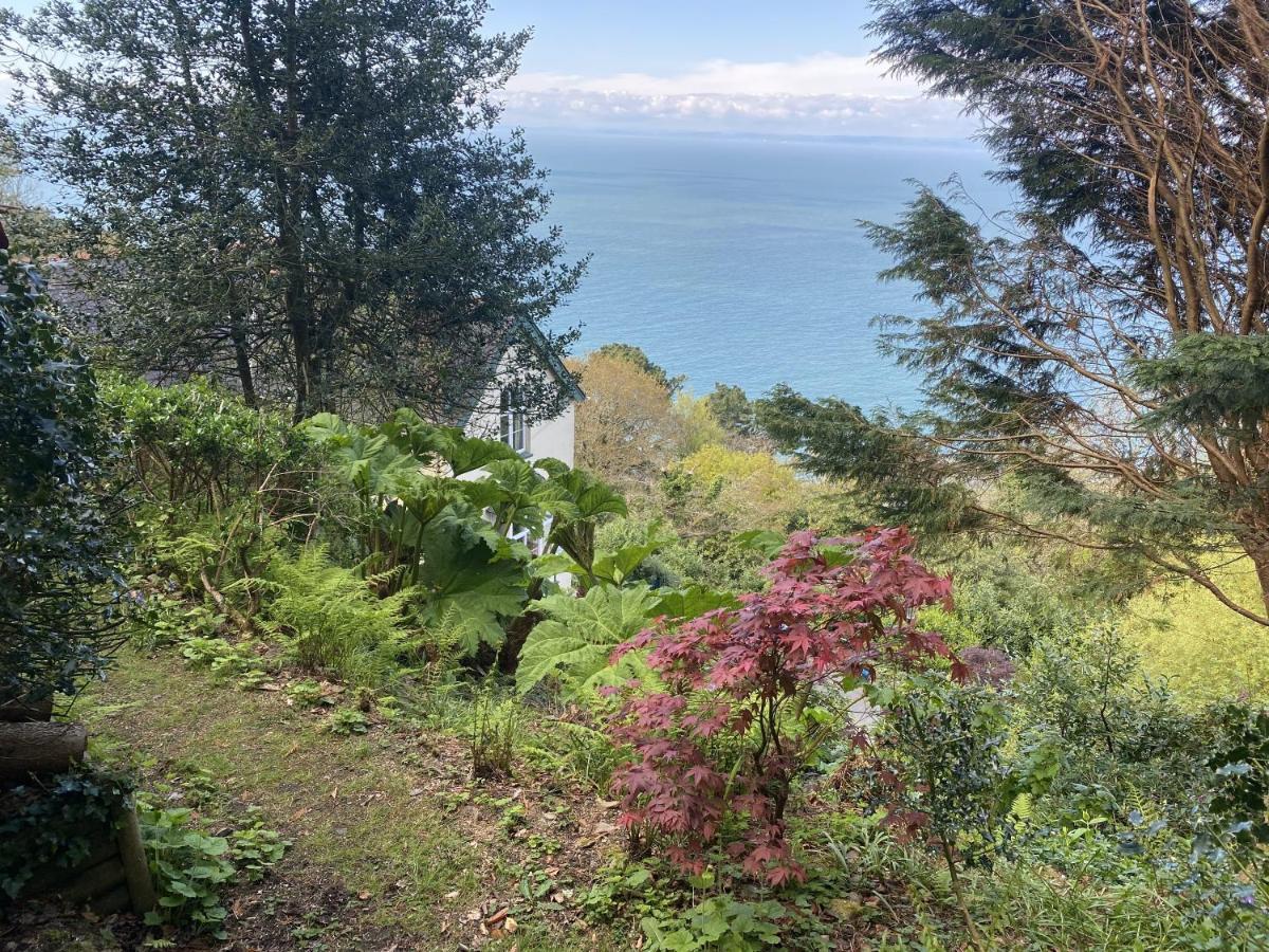 North Walk House Bed and Breakfast Lynton Buitenkant foto