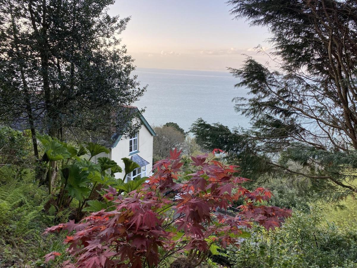 North Walk House Bed and Breakfast Lynton Buitenkant foto
