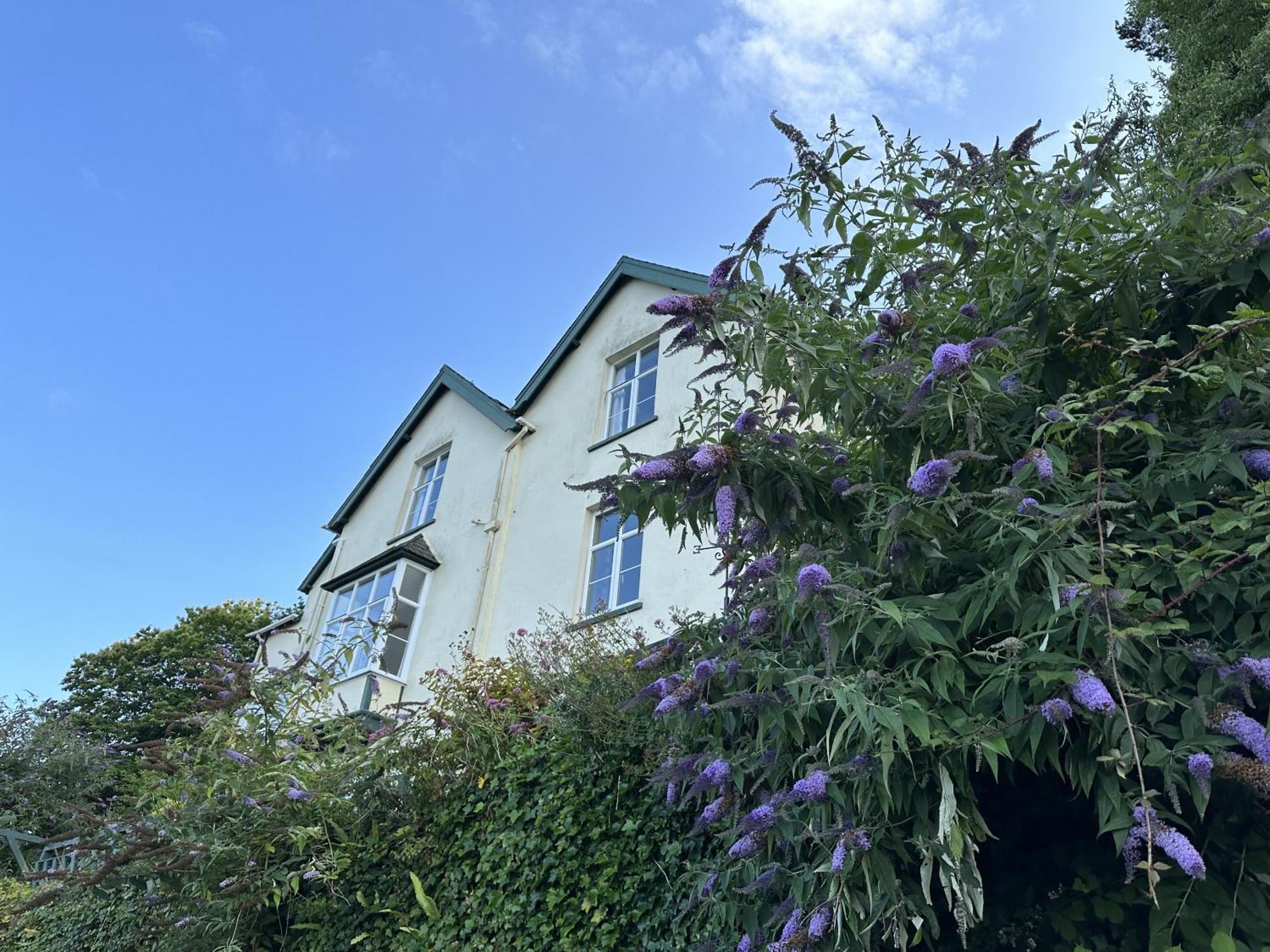North Walk House Bed and Breakfast Lynton Buitenkant foto